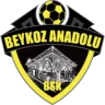 Beykoz Anadolu