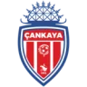 Çankaya FK