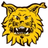 Ilves II