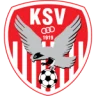 SV Kapfenberg