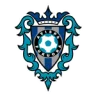 Avispa Fukuoka